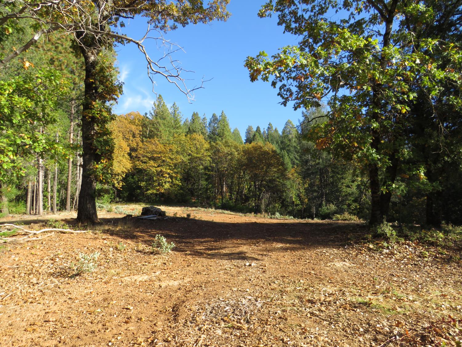 0 Steamers Ravine Road Colfax, CA 95713 - Photo 9 of 21 a view of a yard with trees