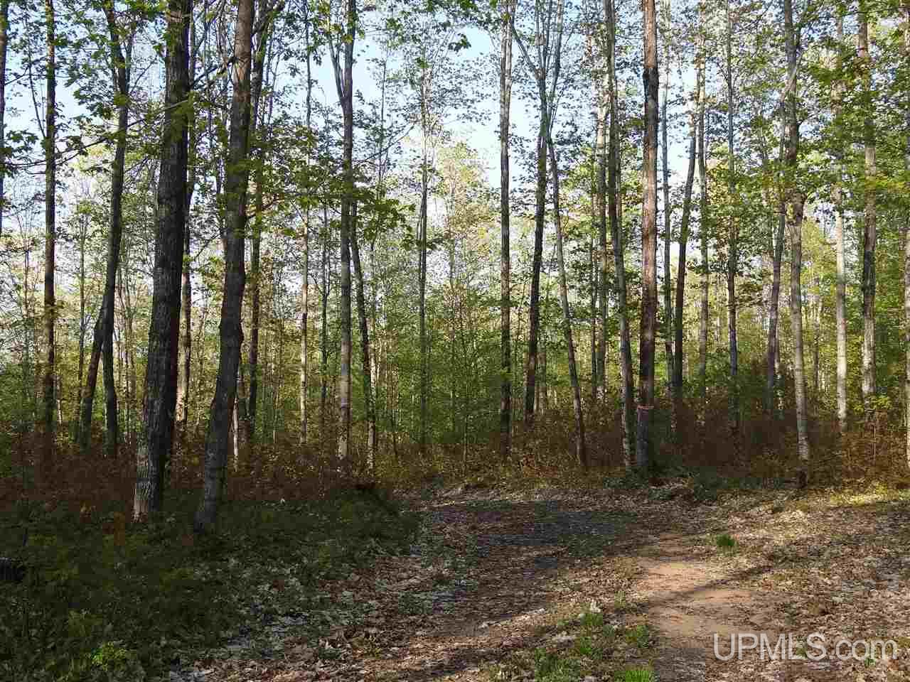 Tbd Coles Creek Road, Unit PARCEL 11 Hancock, MI 49931 - Photo 11 of 12