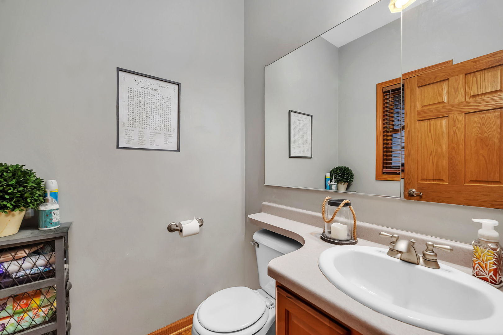 36963 Irish Lane Custer Park, IL 60481 - Photo 16 of 49 a bathroom with a sink vanity mirror and toilet