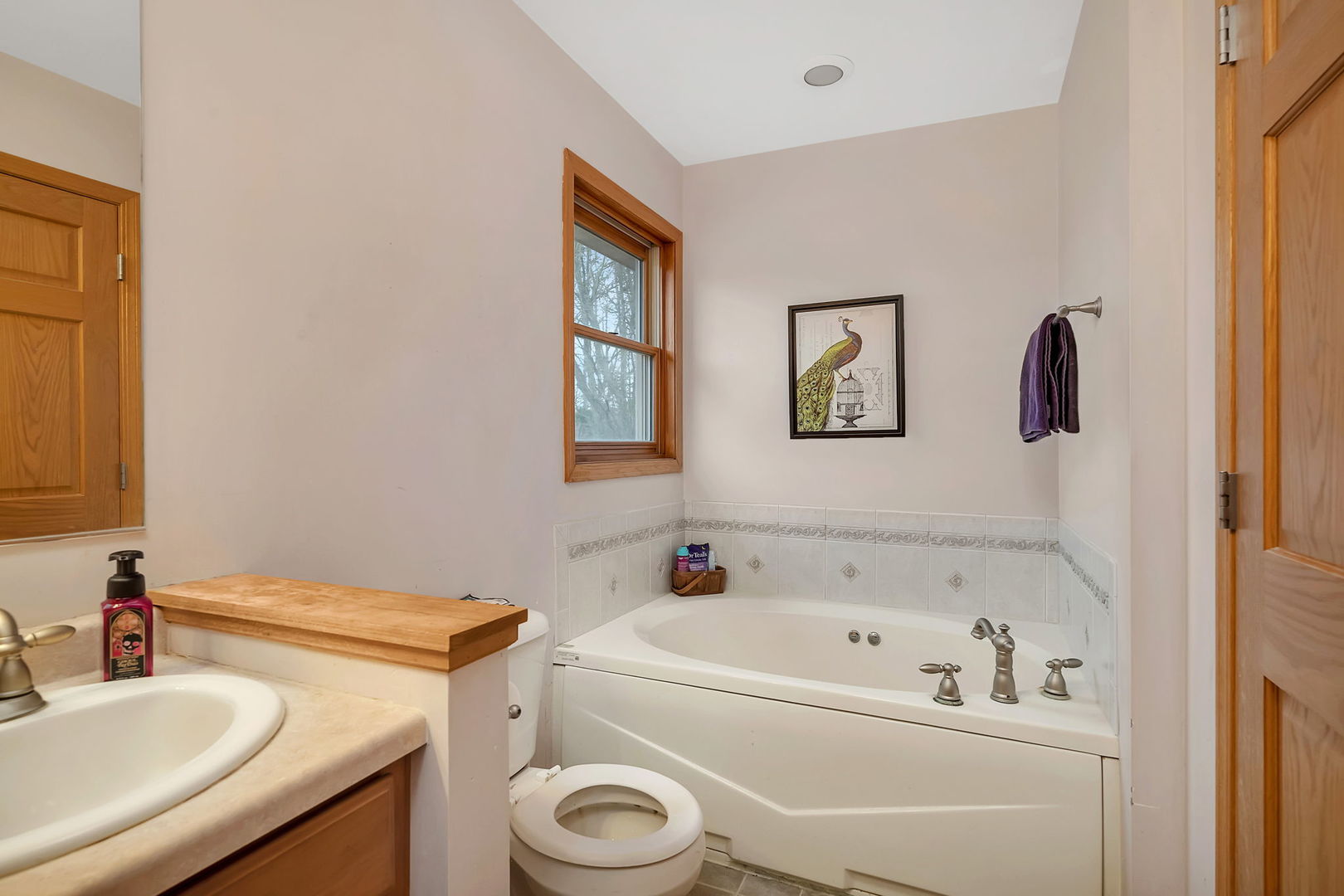 36963 Irish Lane Custer Park, IL 60481 - Photo 20 of 49 a bathroom with a sink a toilet and a bathtub
