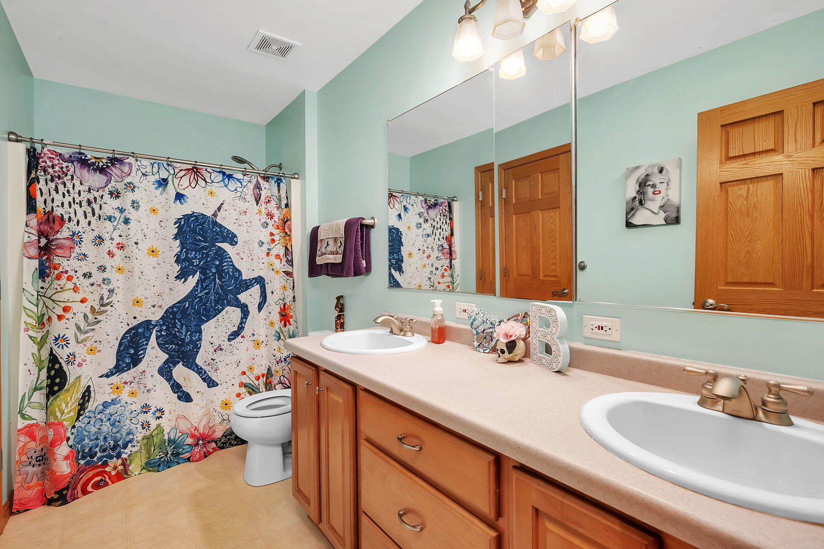 36963 Irish Lane Custer Park, IL 60481 - Photo 24 of 49 a bathroom with a sink vanity and mirror