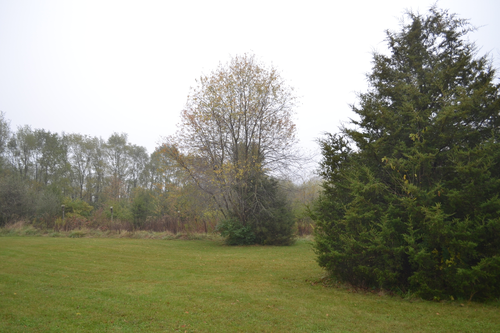 36963 Irish Lane Custer Park, IL 60481 - Photo 41 of 49 a view of a field with an outdoor space