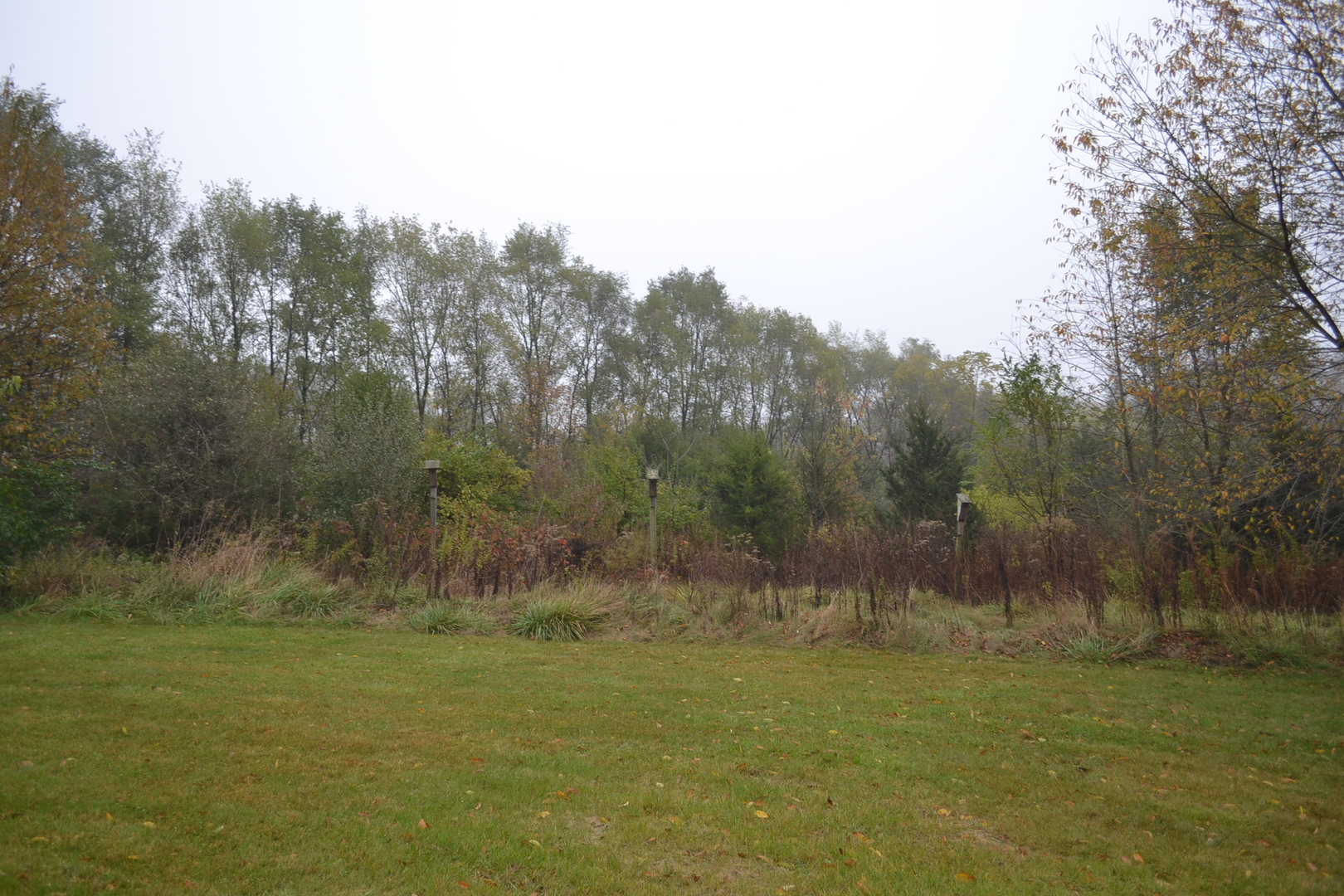 36963 Irish Lane Custer Park, IL 60481 - Photo 42 of 49 a view of a field with trees in the background