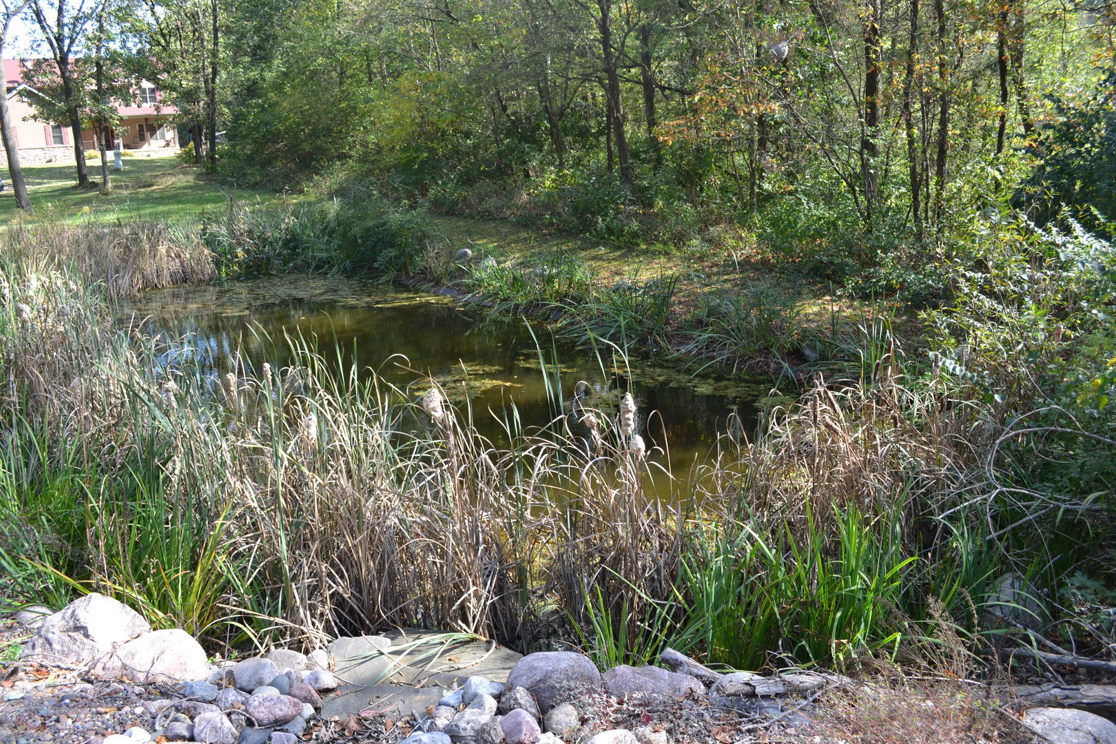 36963 Irish Lane Custer Park, IL 60481 - Photo 47 of 49 a view of a lake with a tree