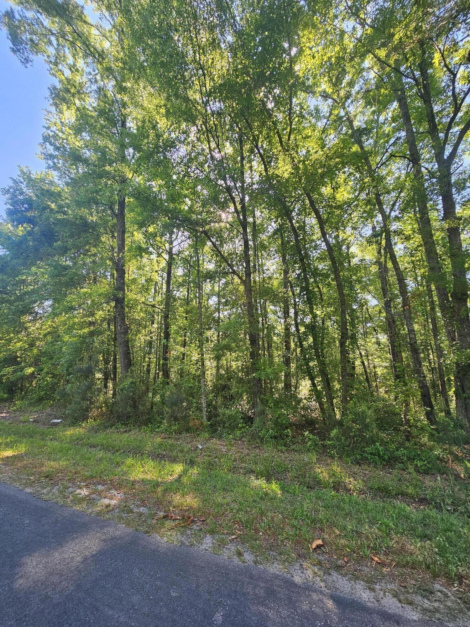 0 Two 2 Church Road Bowman, SC 29018 - Photo 4 of 4 20260420_165933