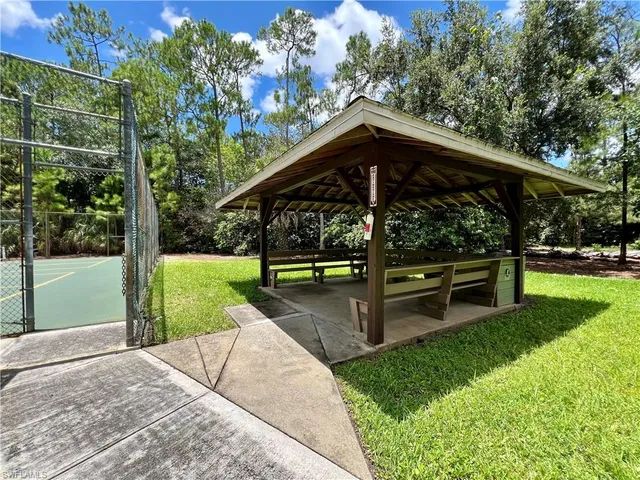 a view of a park with large trees