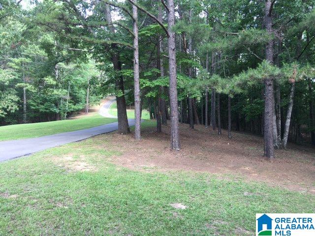 713 Wolf Pen Ridge Road Pell City, AL 35128 - Photo 6 of 40
