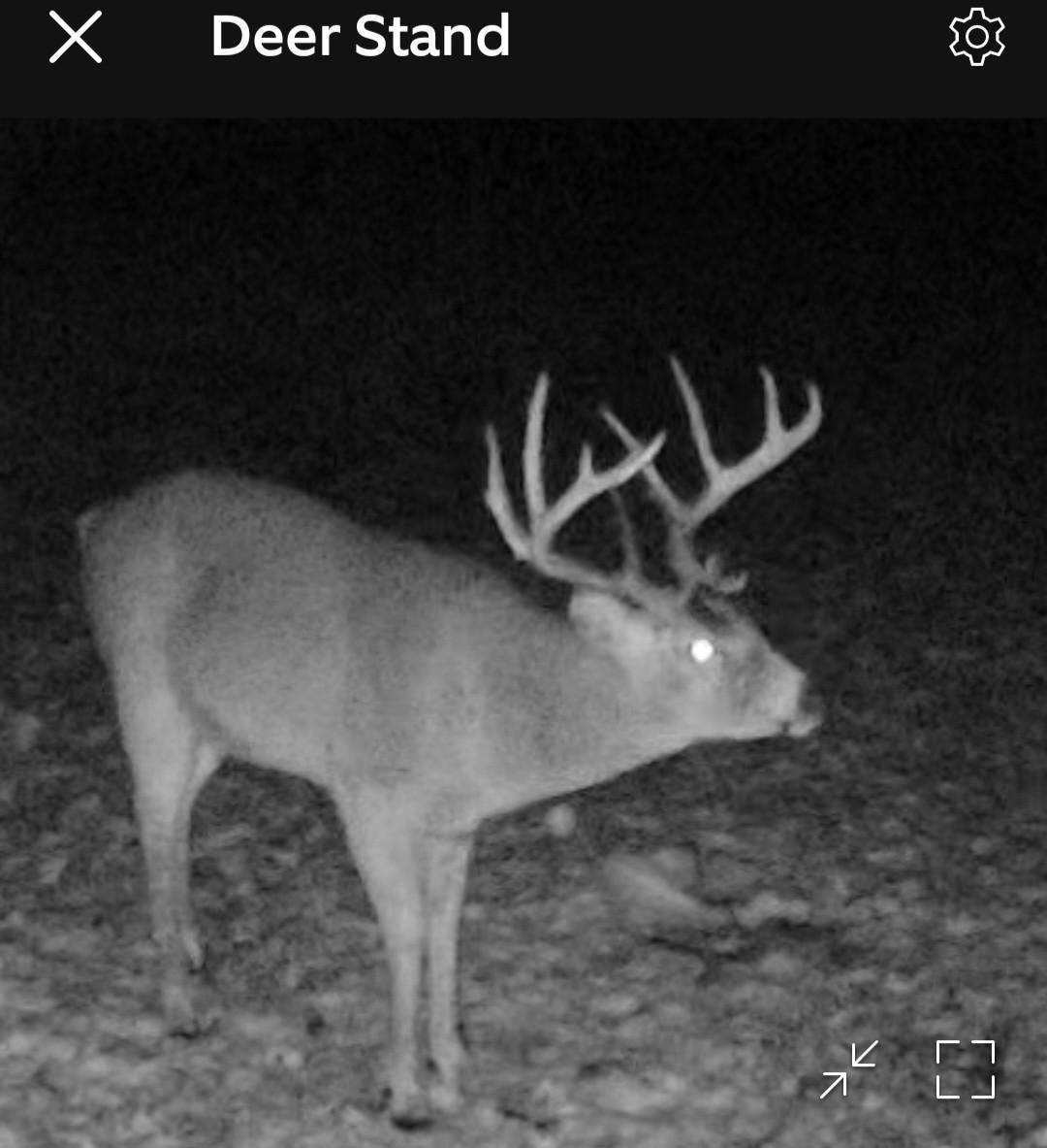 28005 75th Avenue North Hitterdal, MN 56552 - Photo 61 of 73