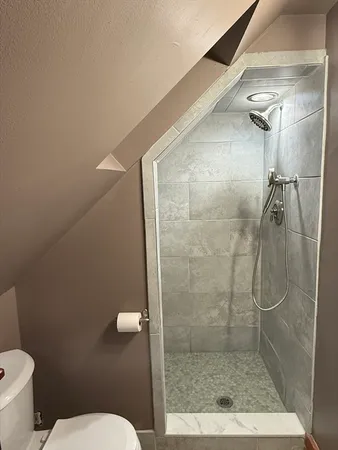 a bathroom with a shower and toilet