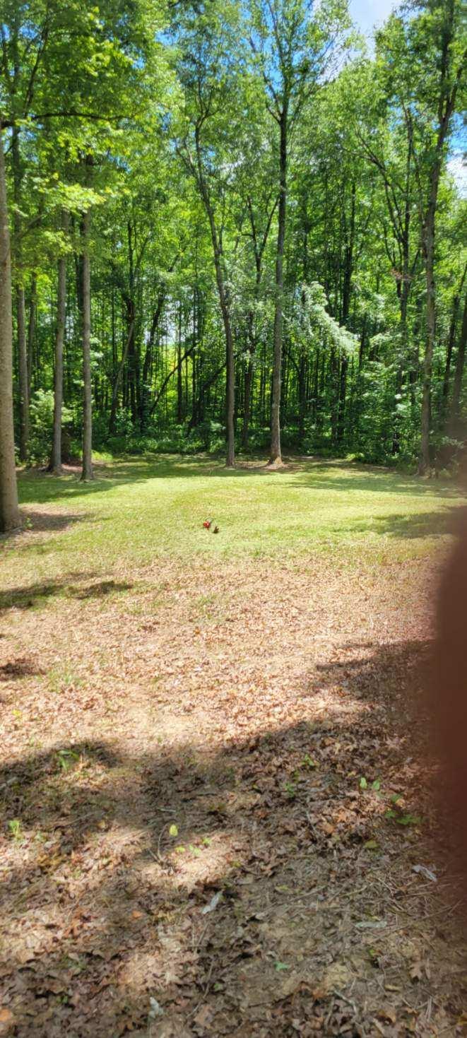1 Mount Laurel Road, Unit 1 Pikeville, TN 37367 - Photo 2 of 18 Resized_20210628_121951