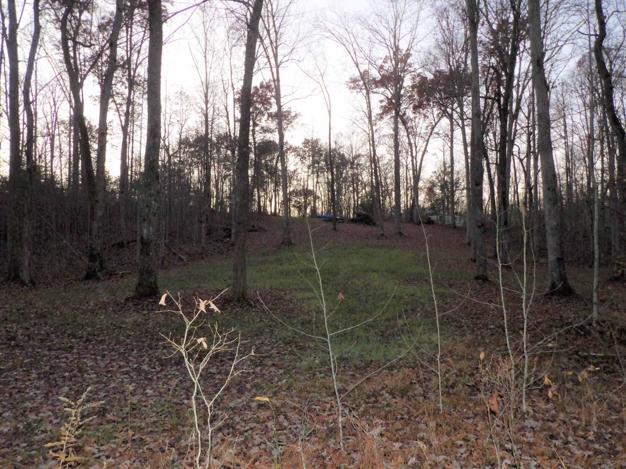 1 Mount Laurel Road, Unit 1 Pikeville, TN 37367 - Photo 11 of 18 20201114013239823786000000-o