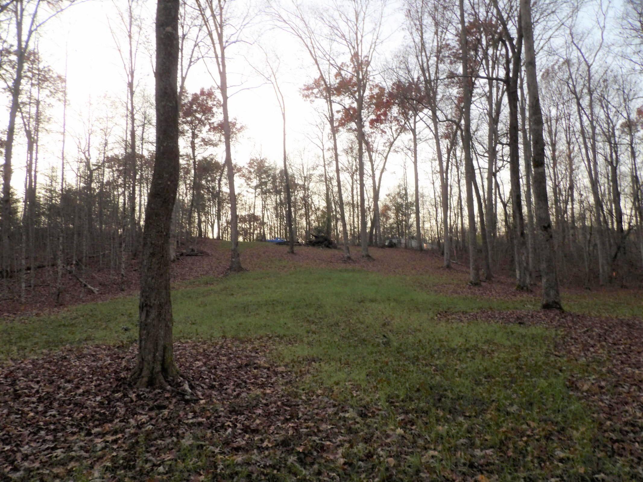 1 Mount Laurel Road, Unit 1 Pikeville, TN 37367 - Photo 13 of 18 20201114013243841823000000-o