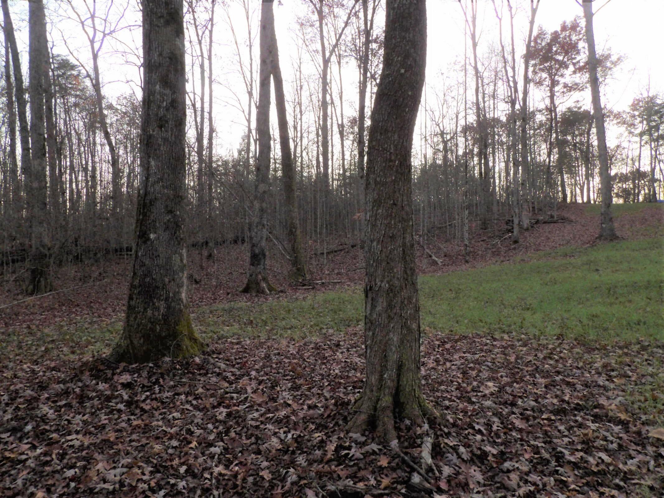 1 Mount Laurel Road, Unit 1 Pikeville, TN 37367 - Photo 14 of 18 20201114013247351971000000-o