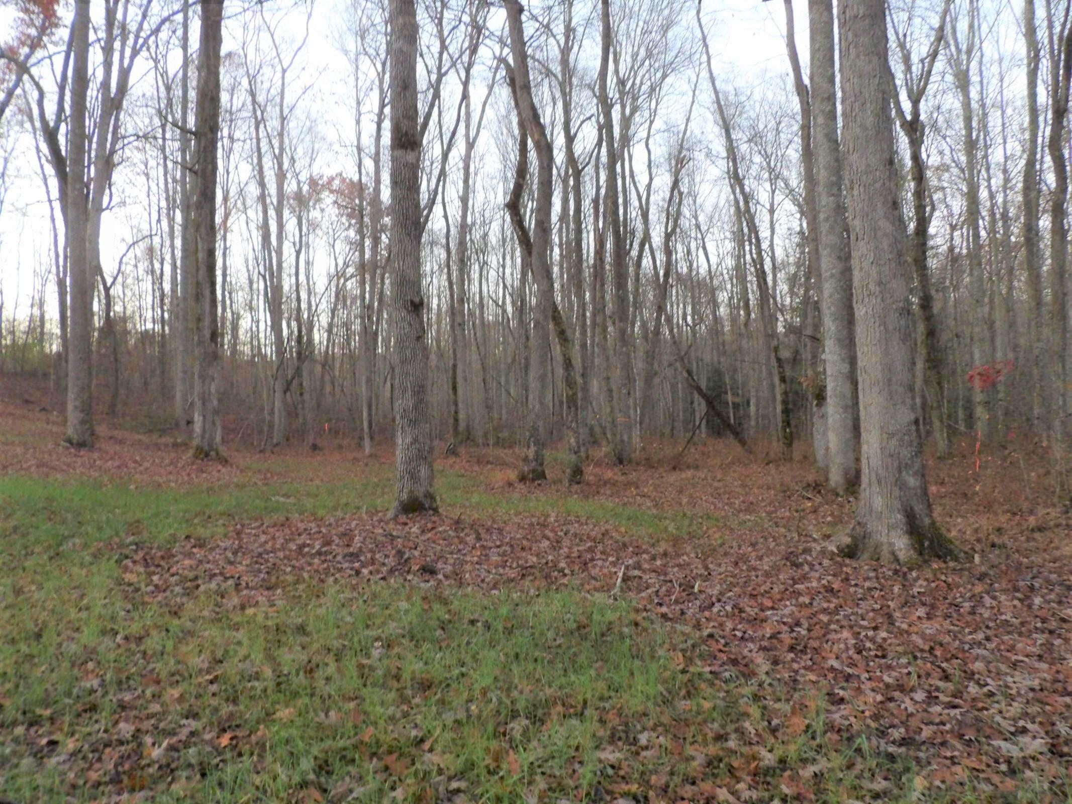 1 Mount Laurel Road, Unit 1 Pikeville, TN 37367 - Photo 15 of 18 20201114013249063670000000-o