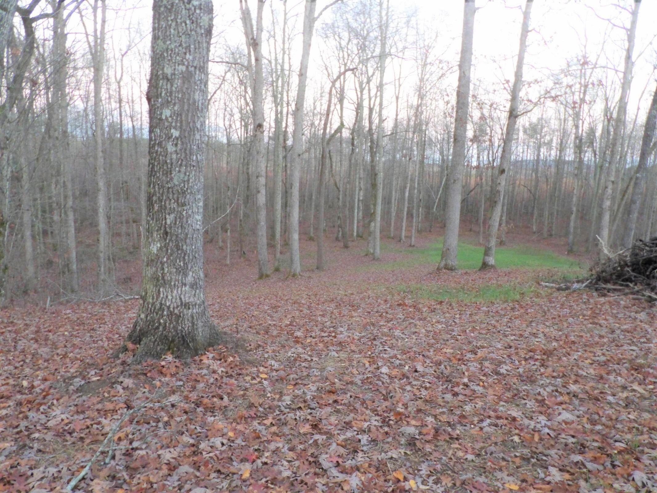 1 Mount Laurel Road, Unit 1 Pikeville, TN 37367 - Photo 4 of 18 20201114013222274052000000-o