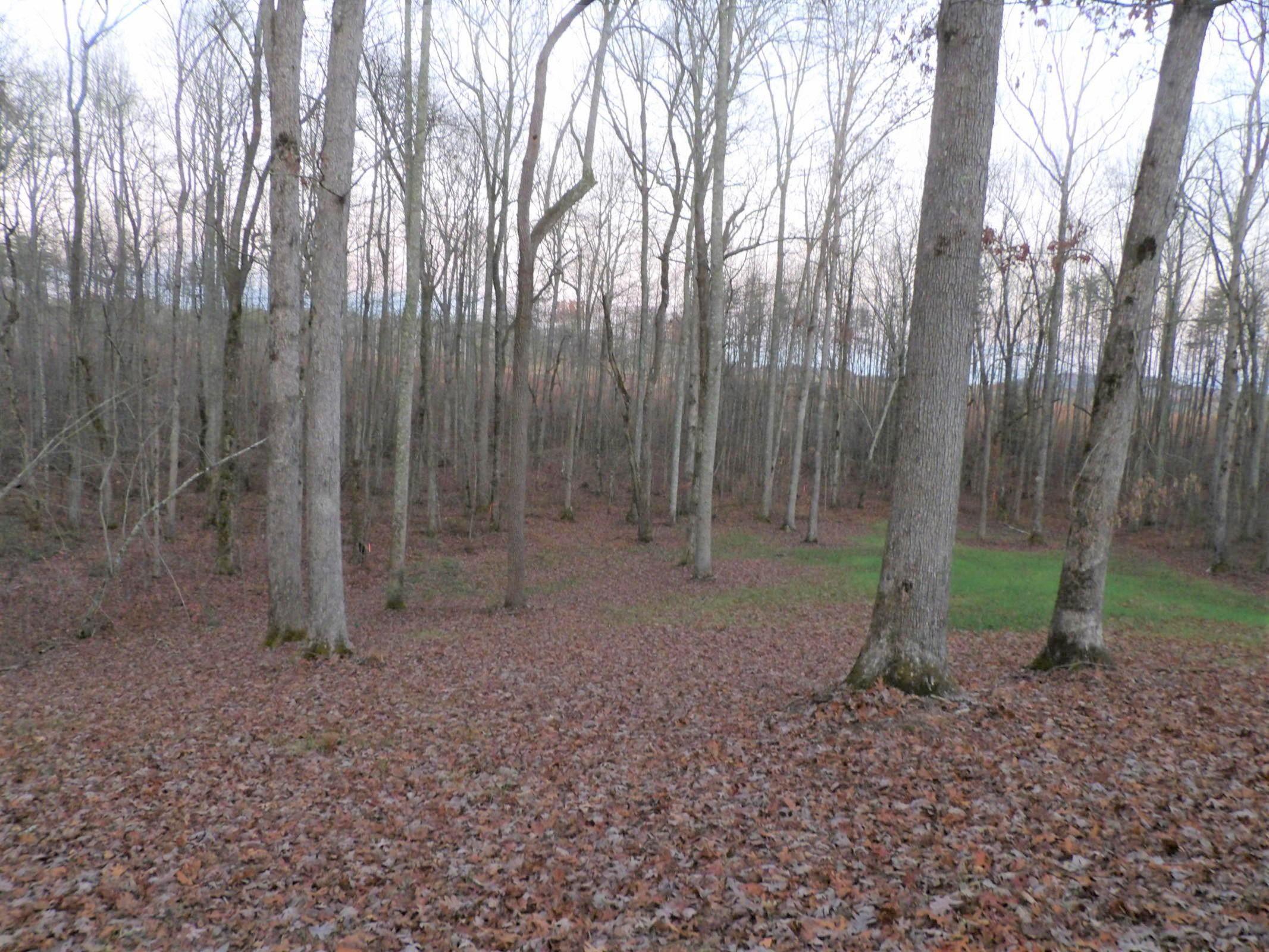 1 Mount Laurel Road, Unit 1 Pikeville, TN 37367 - Photo 6 of 18 20201114013227376424000000-o