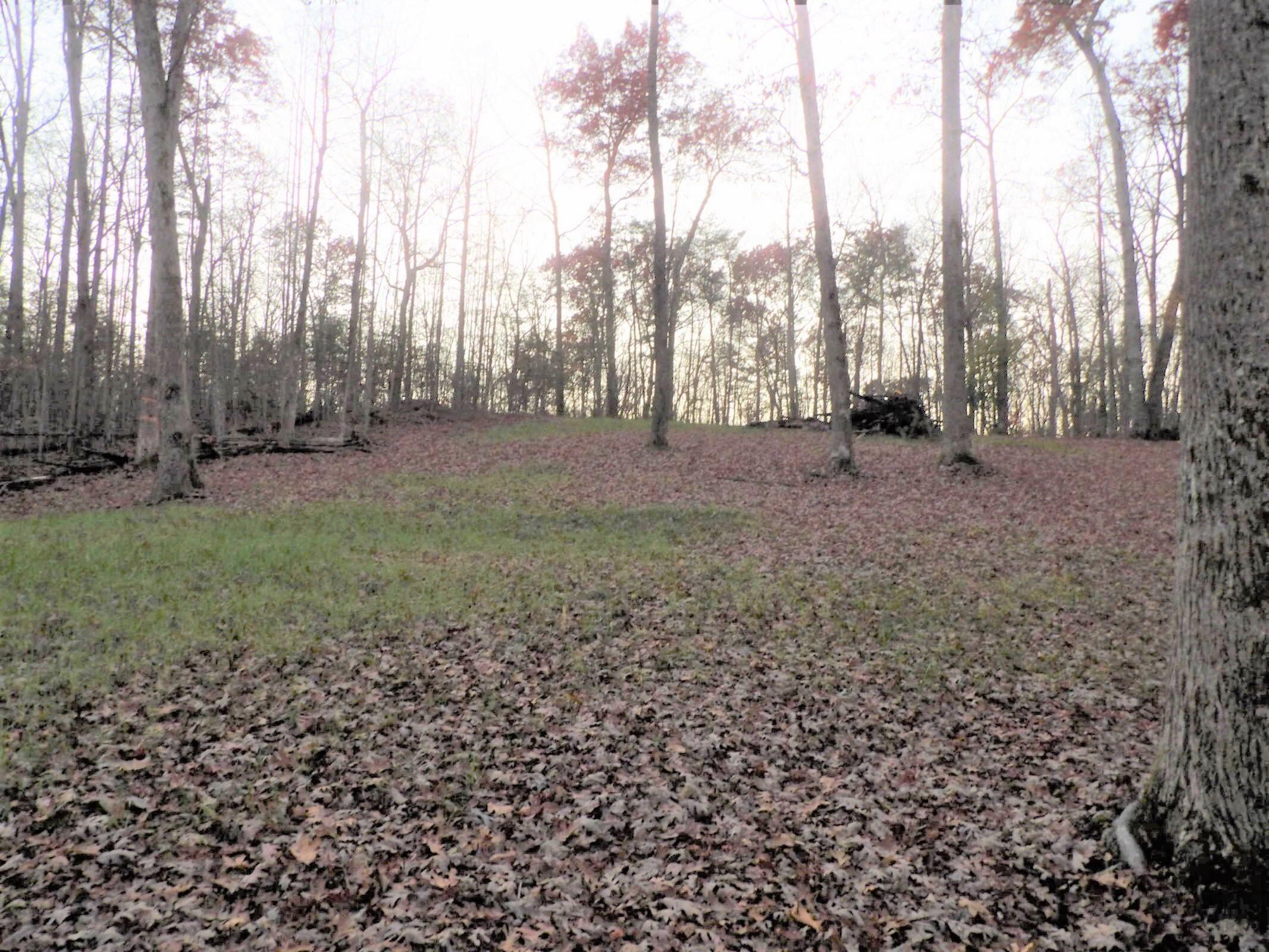 1 Mount Laurel Road, Unit 1 Pikeville, TN 37367 - Photo 8 of 18 20201114013230237545000000-o