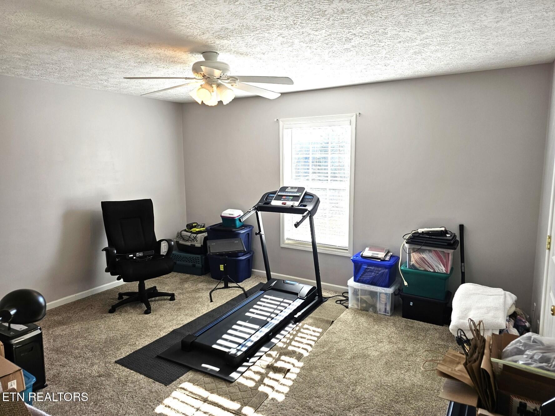 5110 Morganton Road Greenback, TN 37742 - Photo 12 of 18