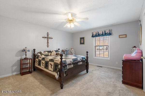 5110 Morganton Road Greenback, TN 37742 - Photo 17 of 34