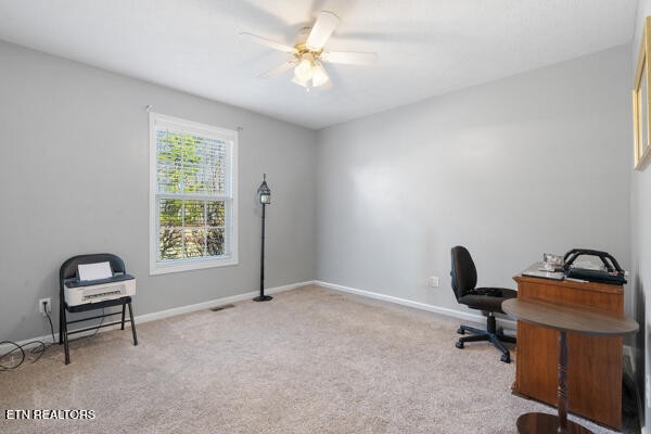 5110 Morganton Road Greenback, TN 37742 - Photo 22 of 34