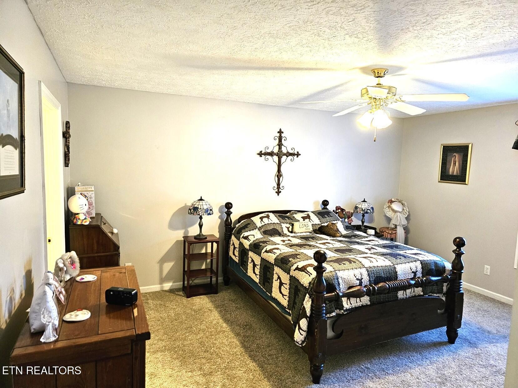 5110 Morganton Road Greenback, TN 37742 - Photo 6 of 18