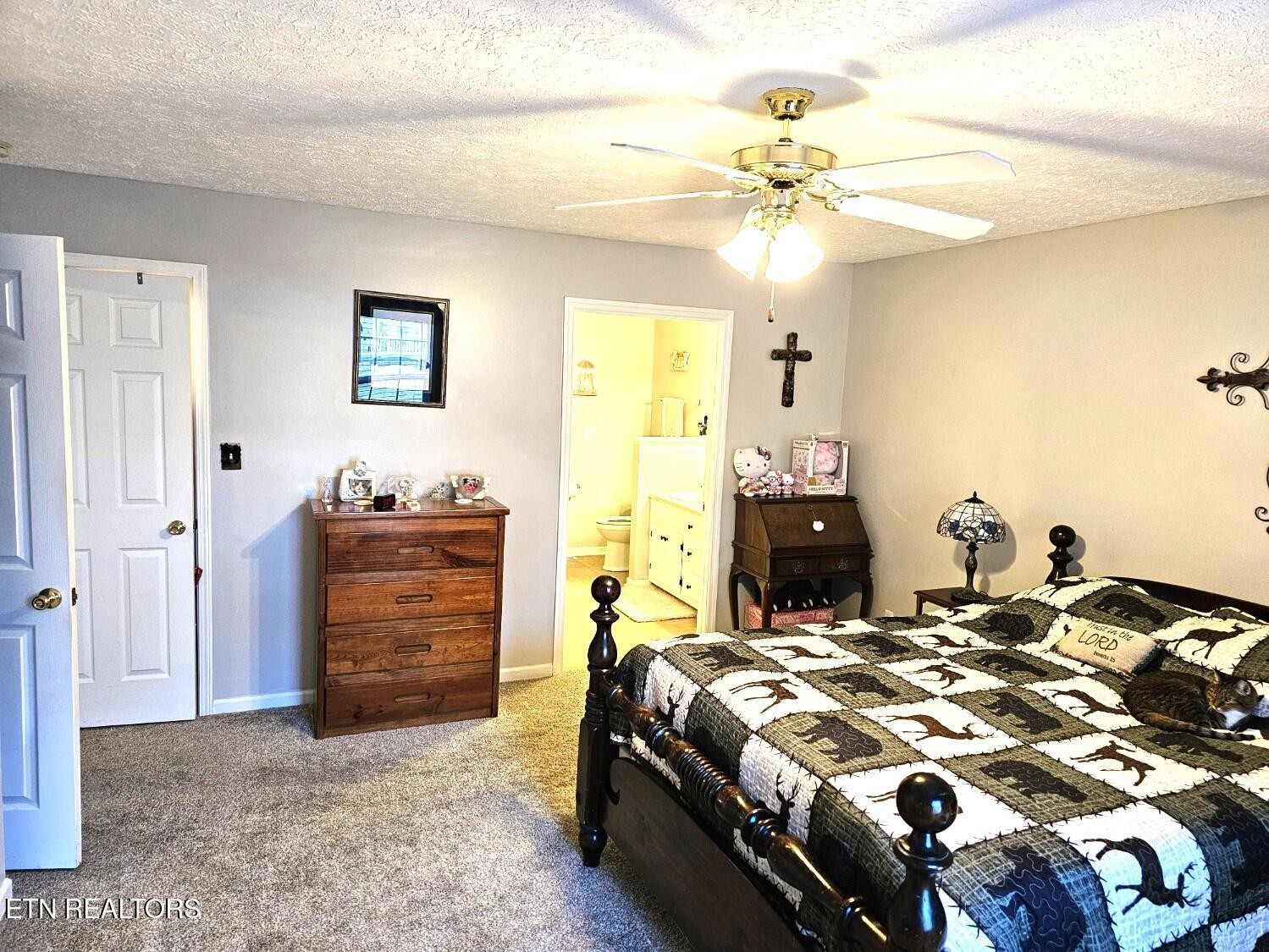 5110 Morganton Road Greenback, TN 37742 - Photo 7 of 18