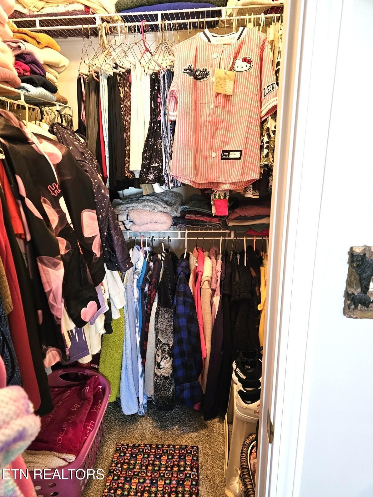 5110 Morganton Road Greenback, TN 37742 - Photo 10 of 18