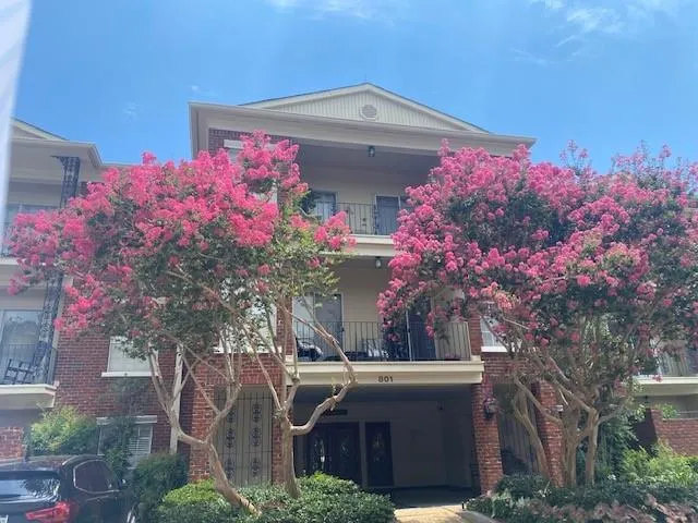 $2,500 | 801 Rue Dauphine, Unit 300, Metairie, LA 70005