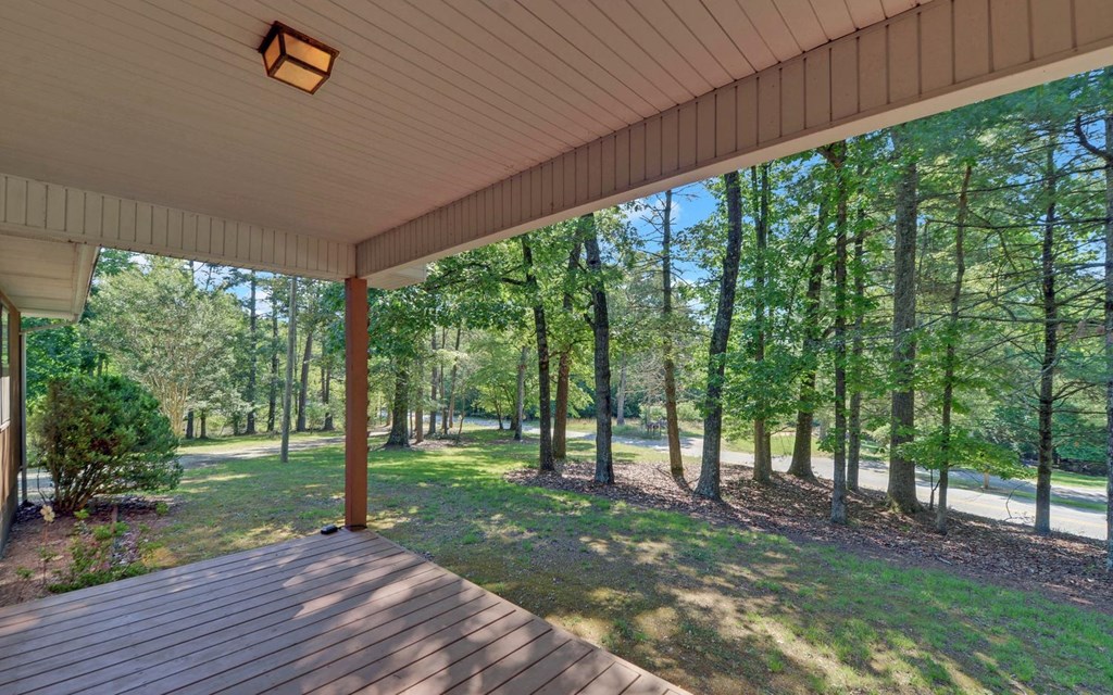 517 Paul Nicholson Road Blairsville, GA 30512 - Photo 2 of 31