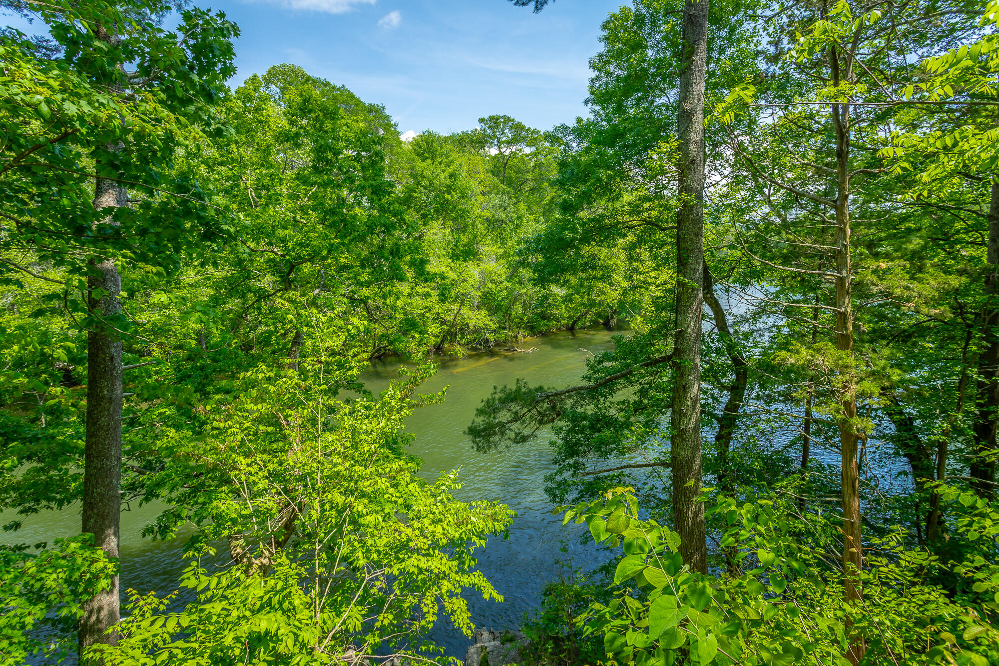 145 River Bend Drive Ocoee, TN 37361 - Photo 39 of 48 145 River Bend Drive HD-88