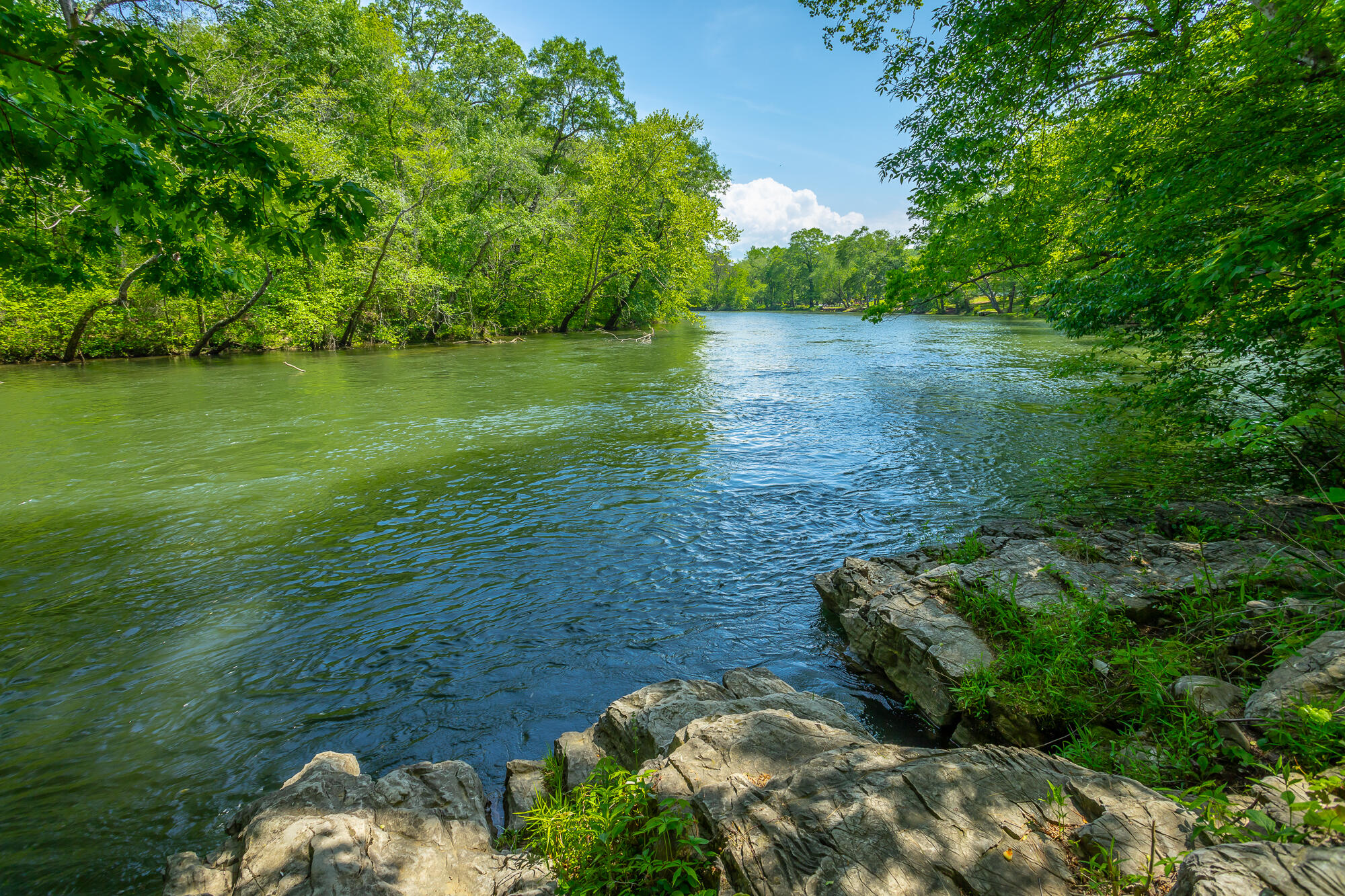 145 River Bend Drive Ocoee, TN 37361 - Photo 41 of 48 145 River Bend Drive HD-93