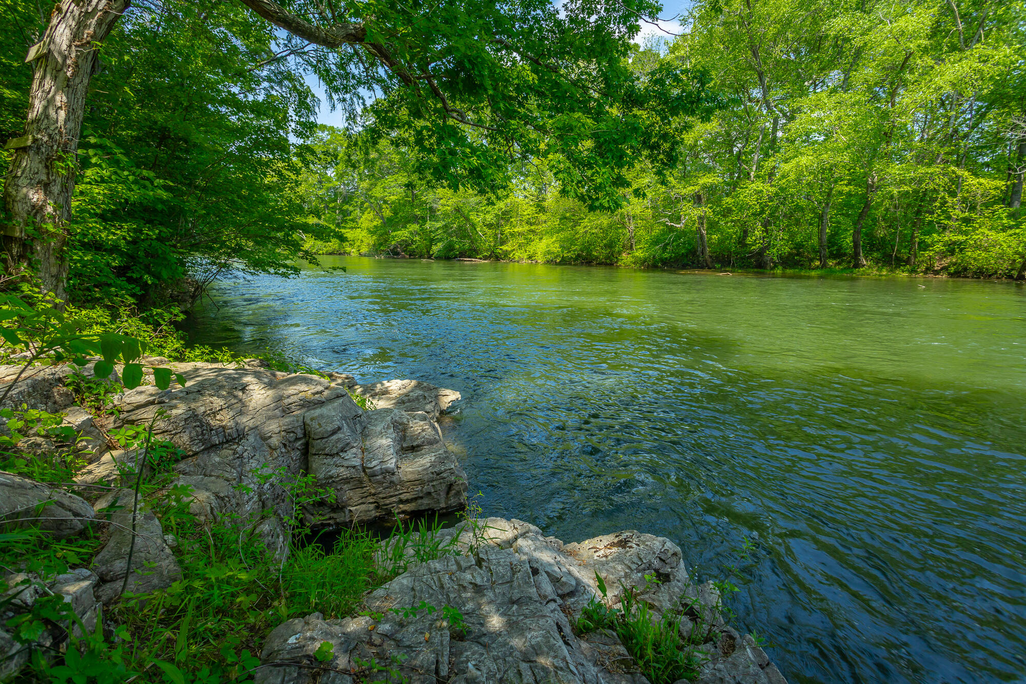 145 River Bend Drive Ocoee, TN 37361 - Photo 42 of 48 145 River Bend Drive HD-95