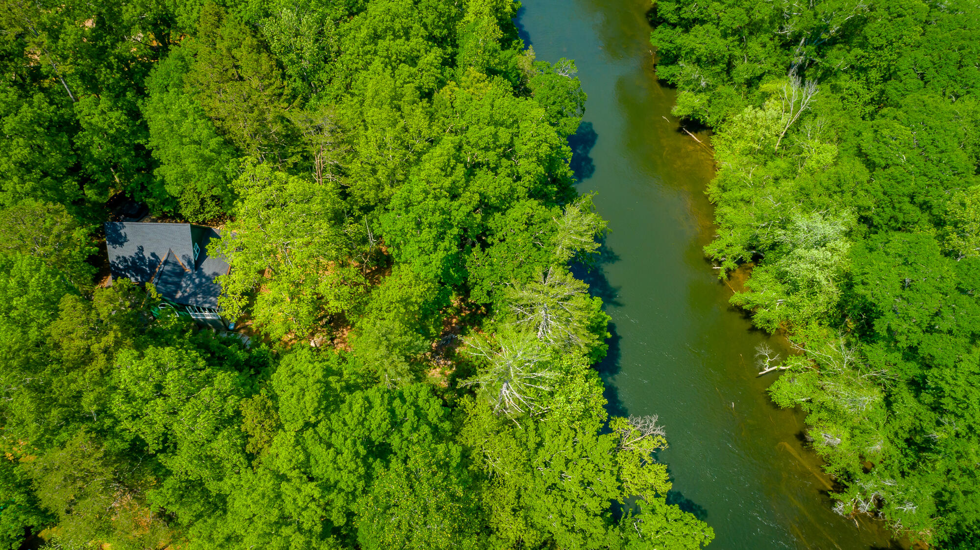 145 River Bend Drive Ocoee, TN 37361 - Photo 46 of 48 145 River Bend Drive HD-109