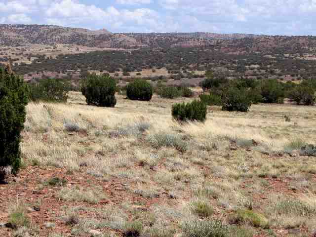 509 Woodridge Ranch Concho, AZ 85924 - Photo 1 of 5