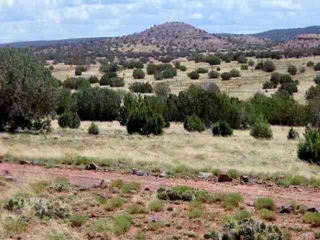 509 Woodridge Ranch Concho, AZ 85924 - Photo 2 of 5
