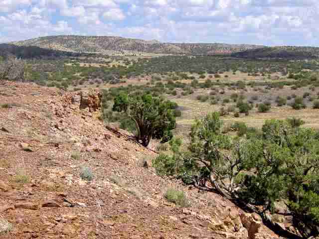509 Woodridge Ranch Concho, AZ 85924 - Photo 3 of 5