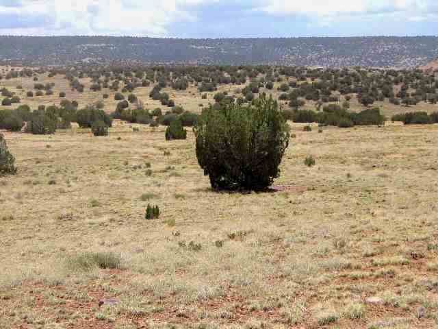 509 Woodridge Ranch Concho, AZ 85924 - Photo 5 of 5