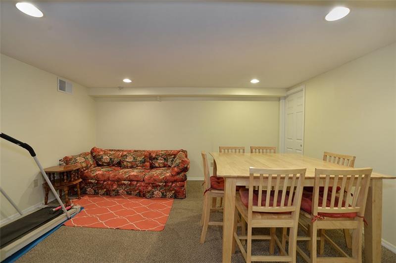 117 Landell Street Rochester, PA 15074 - Photo 16 of 19 Lower level consists of two large finished rooms and a THIRD full bath!