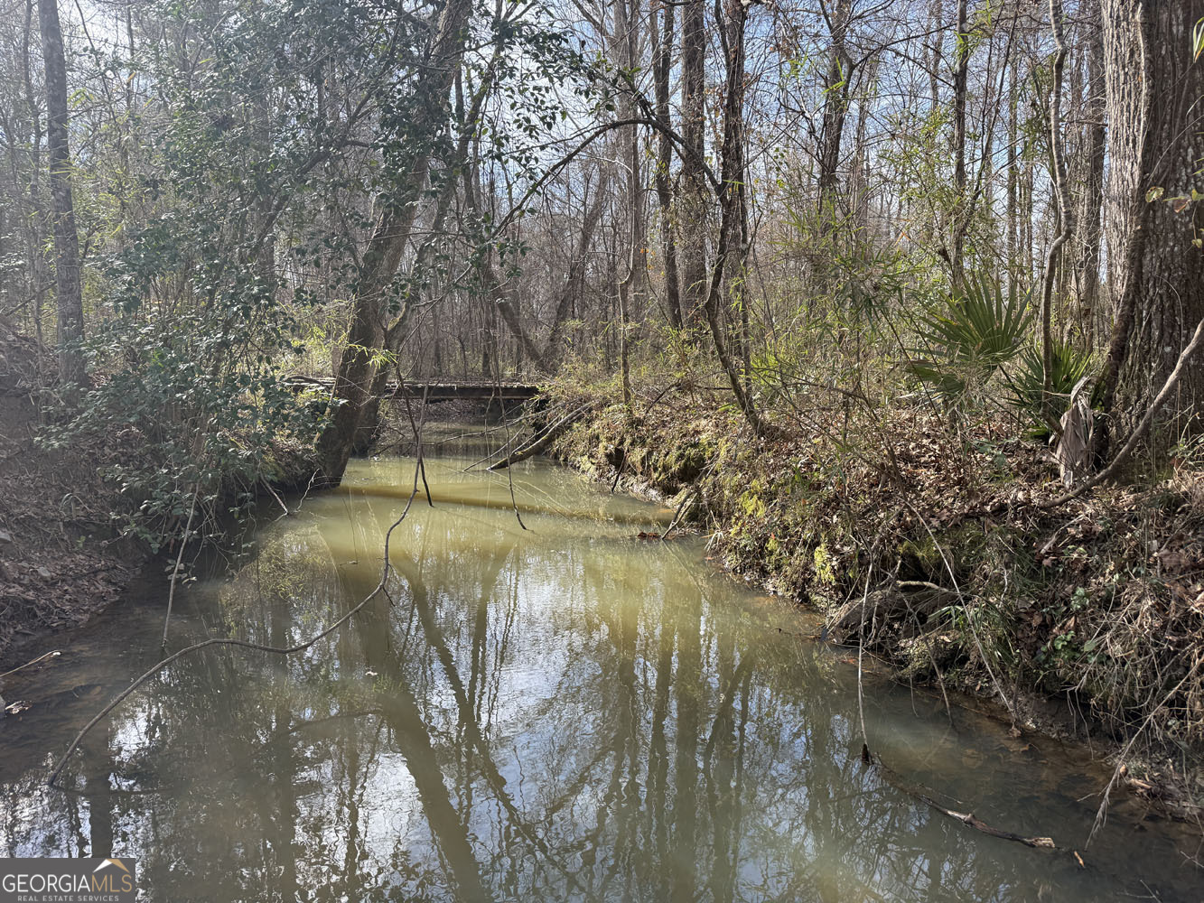Truslow South Durham Mill Road Jeffersonville, GA 31044 - Photo 4 of 49 a view of lake