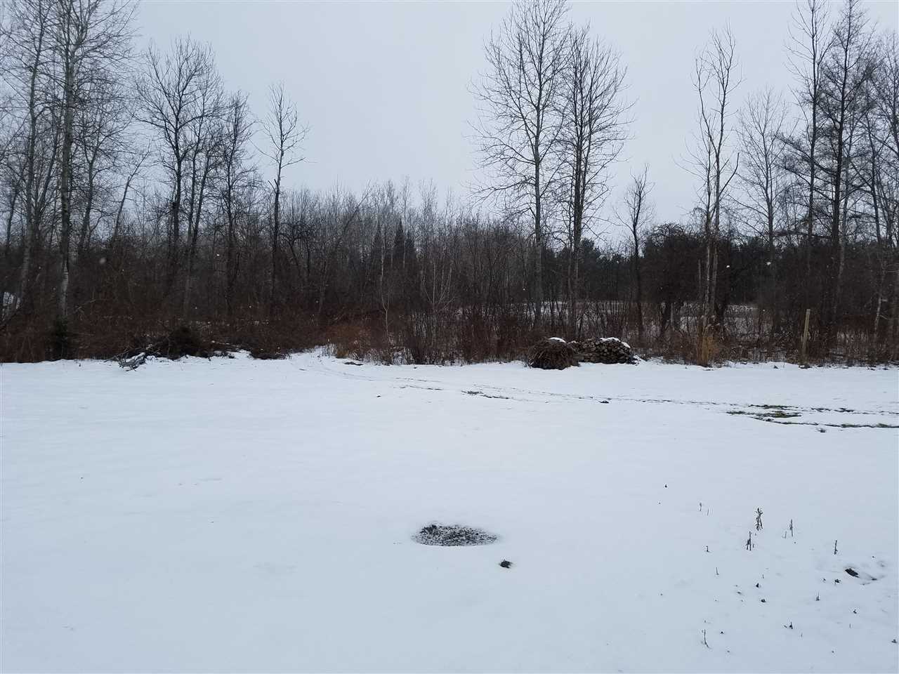 5039 East State Road Hale, MI 48739 - Photo 20 of 28 1826536-20.JPG