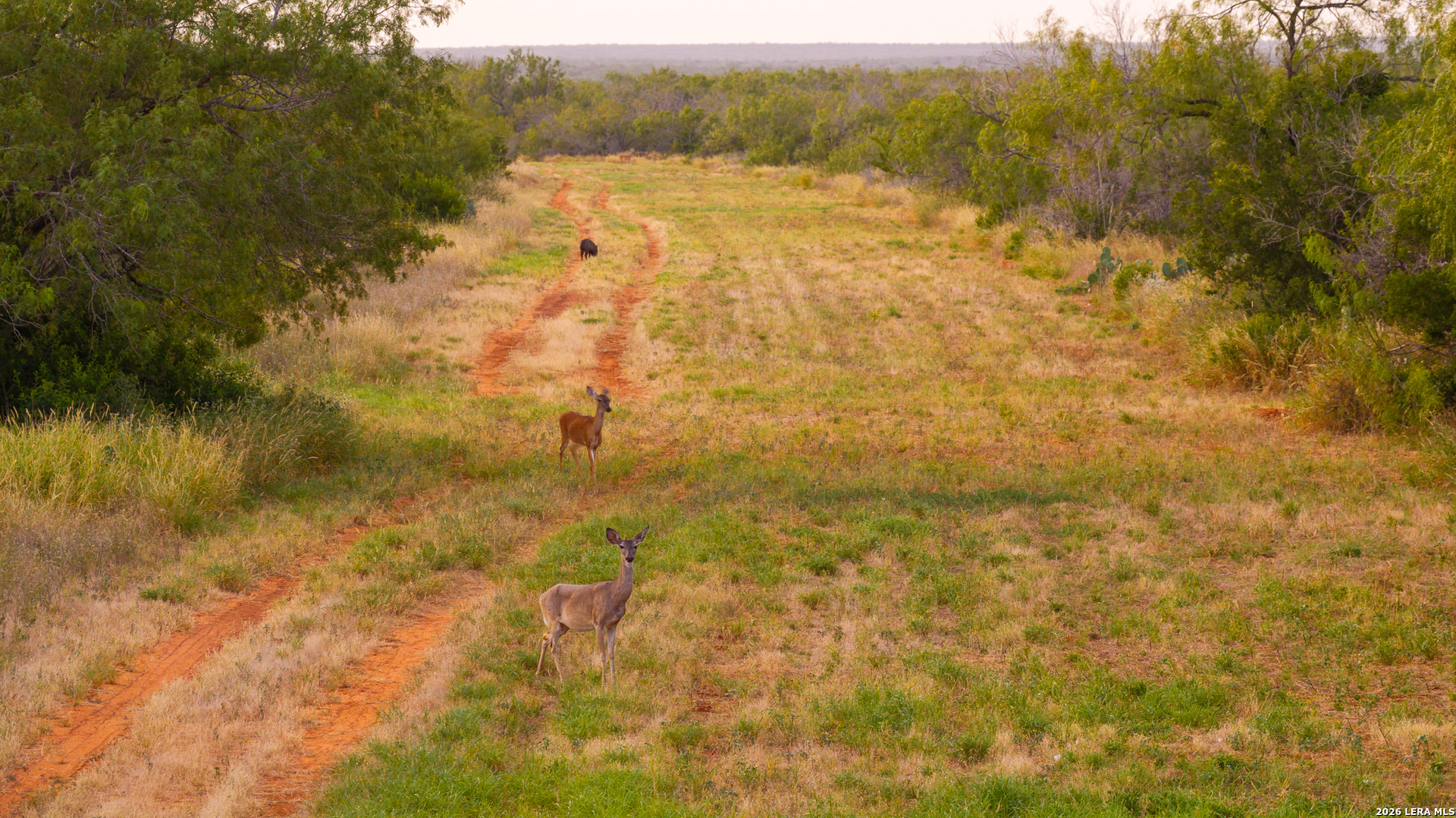 1909 Hubbard Road Cotulla, TX 78014 - Photo 44 of 50 Gallery Image 44