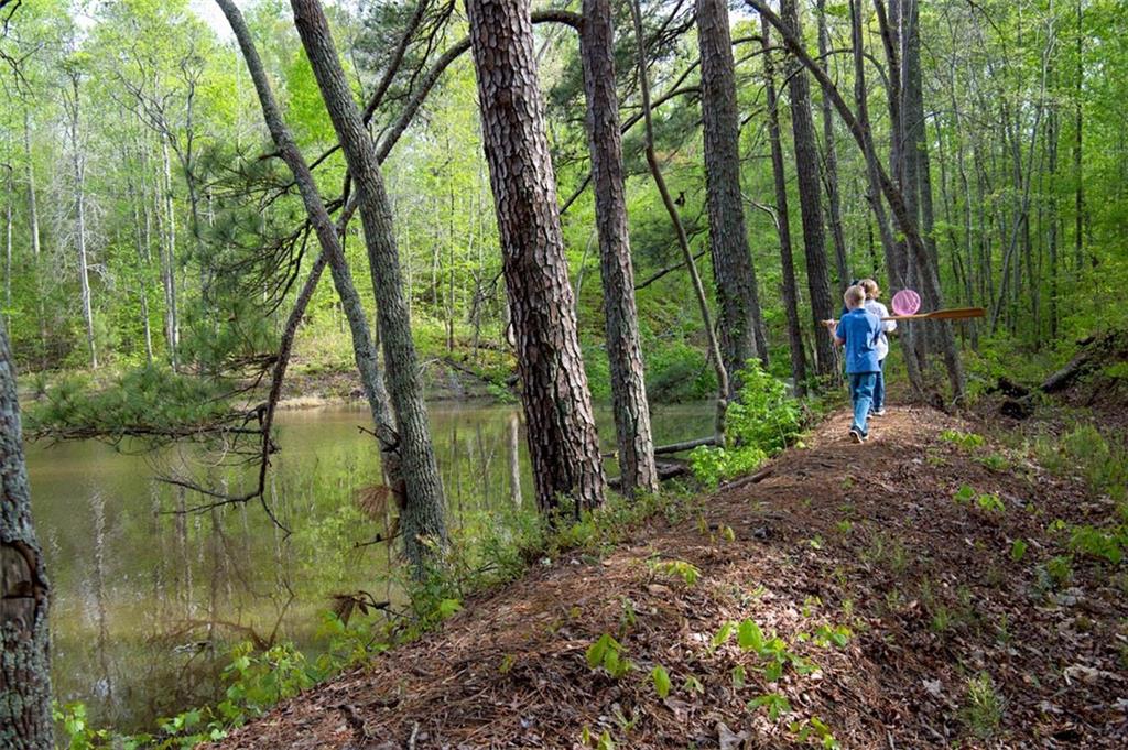 955 Ebenezer Road Milton, GA 30075 - Photo 10 of 14