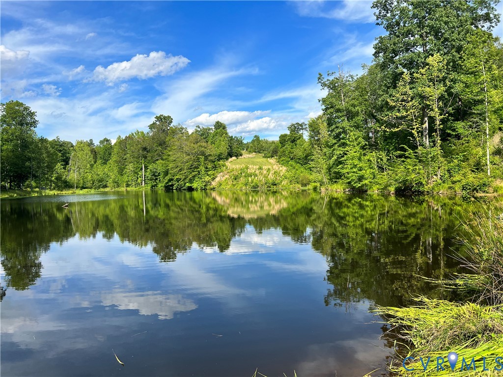 2092 Leigh Mountain Road Green Bay, VA 23942 - Photo 7 of 72