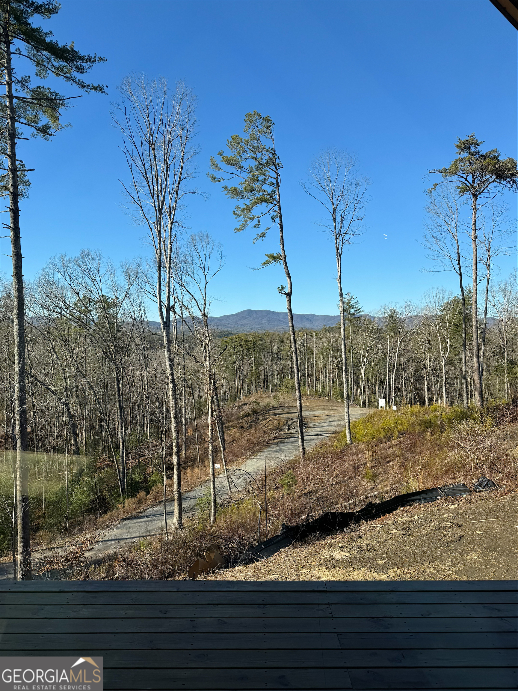 1705 Old Northcutt Road, Unit TR A Ellijay, GA 30536 - Photo 29 of 29 a view of a backyard