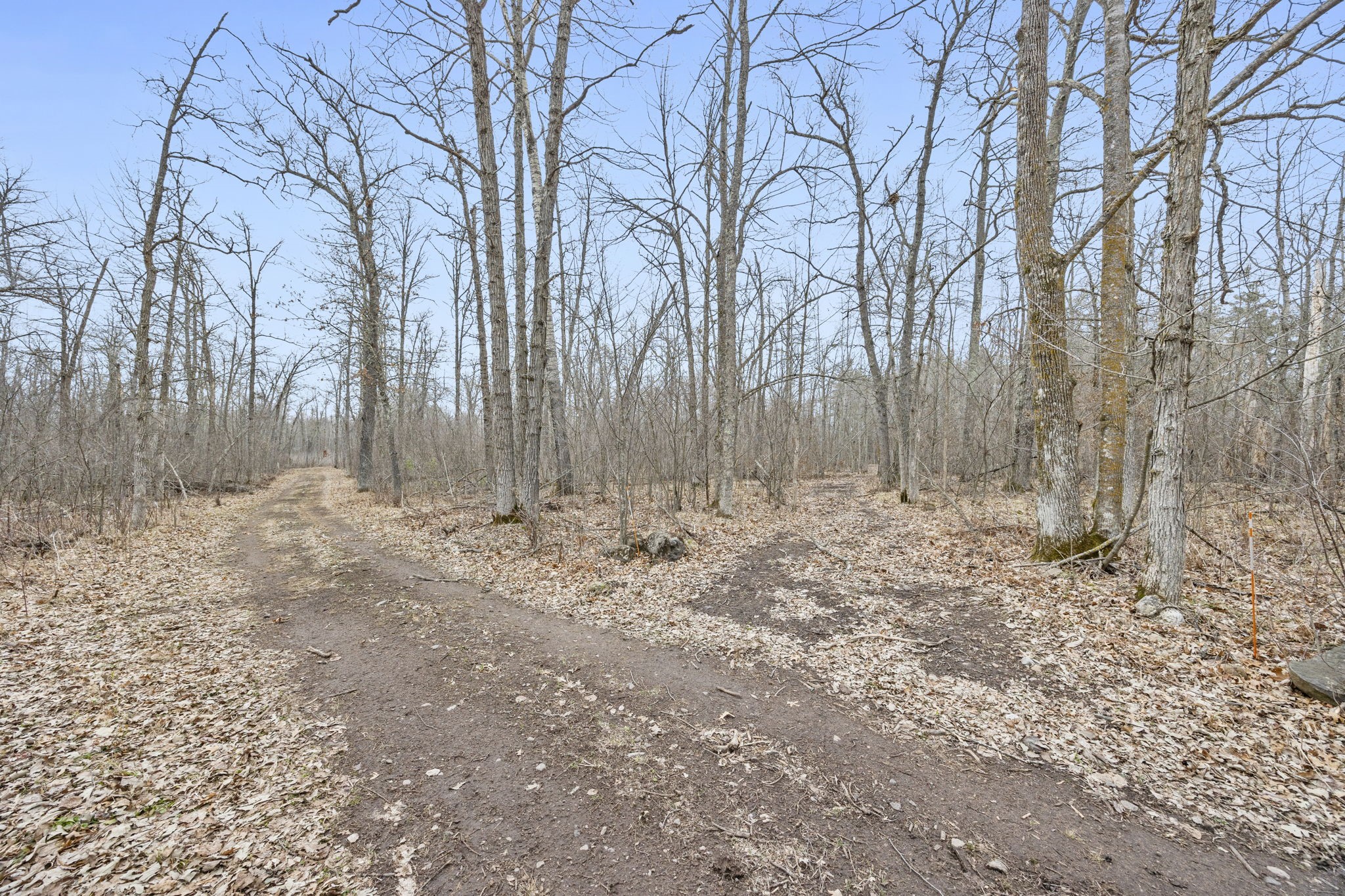 4996 Springbrook Trail Danbury, WI 54830 - Photo 45 of 60