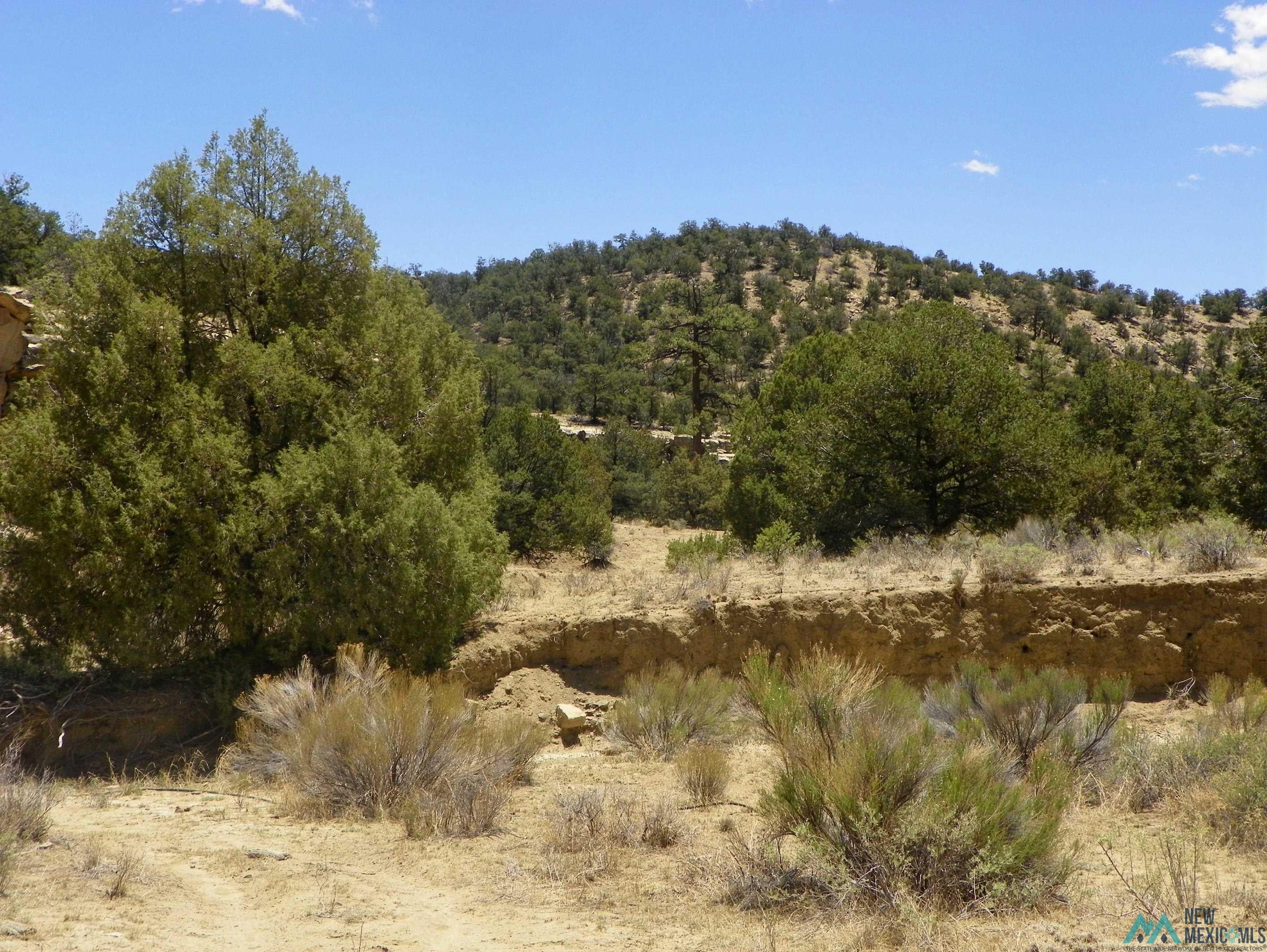 0 Coal Road Pie Town, NM 87827 - Photo 1 of 1