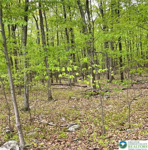 a view of yard with green space