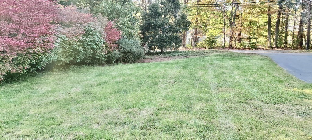 123 Lincoln Road Wayland, MA 01778 - Photo 24 of 26 a view of a trees with a yard