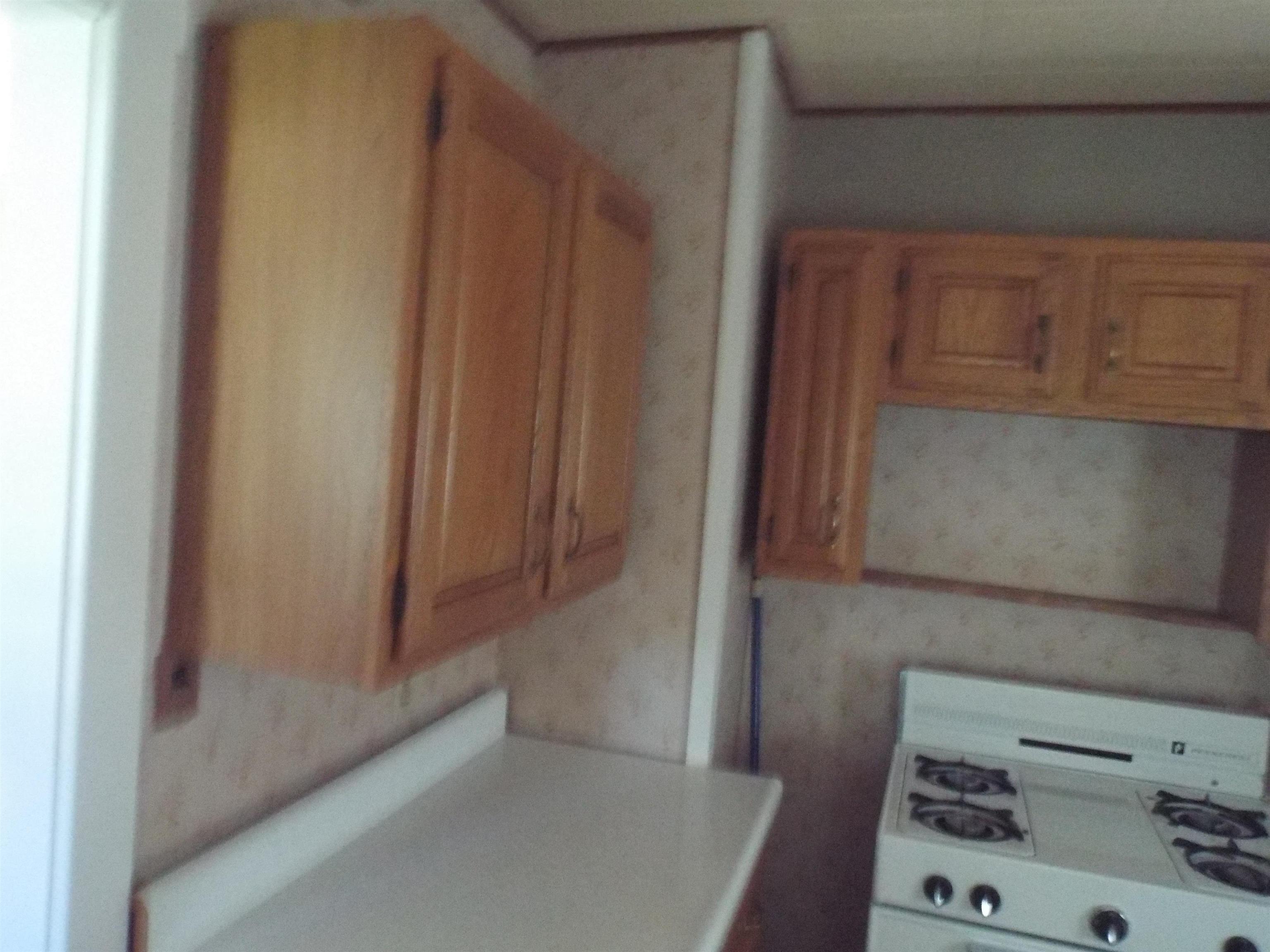608 Maple Street Lena, IL 61048 - Photo 3 of 17