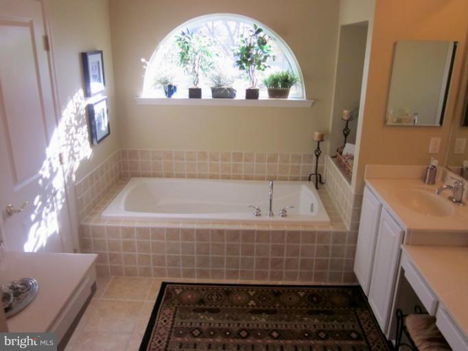 9038 Roaring Spring Loop Bristow, VA 20136 - Photo 11 of 30 Bath (Master)